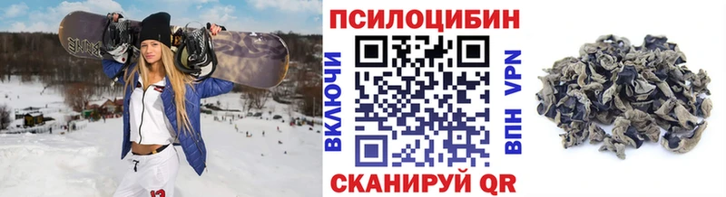 Галлюциногенные грибы MAGIC MUSHROOMS  где можно купить   Устюжна 